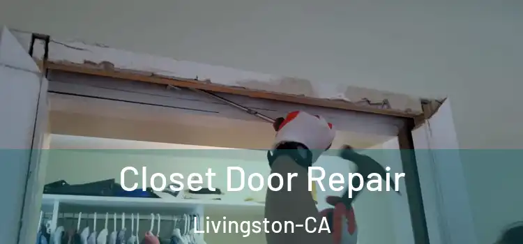  Closet Door Repair Livingston-CA