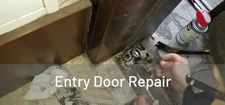 Entry Door Repair