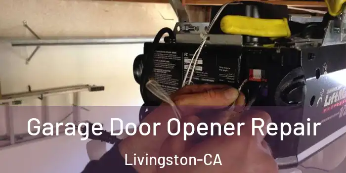  Garage Door Opener Repair Livingston-CA