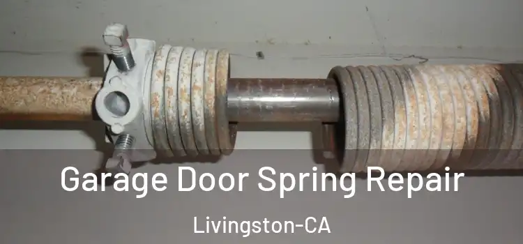  Garage Door Spring Repair Livingston-CA