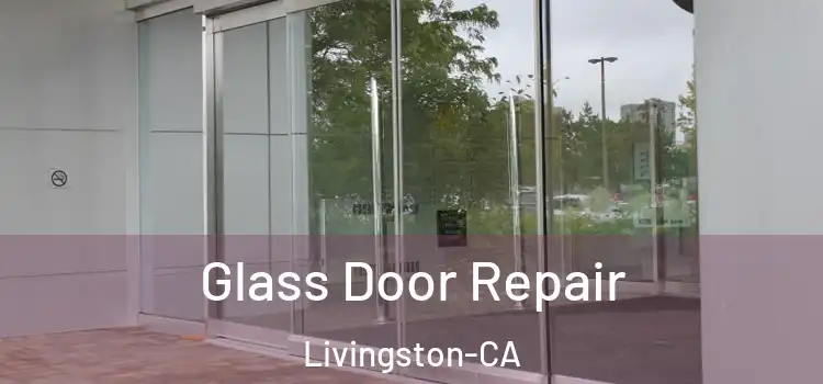  Glass Door Repair Livingston-CA
