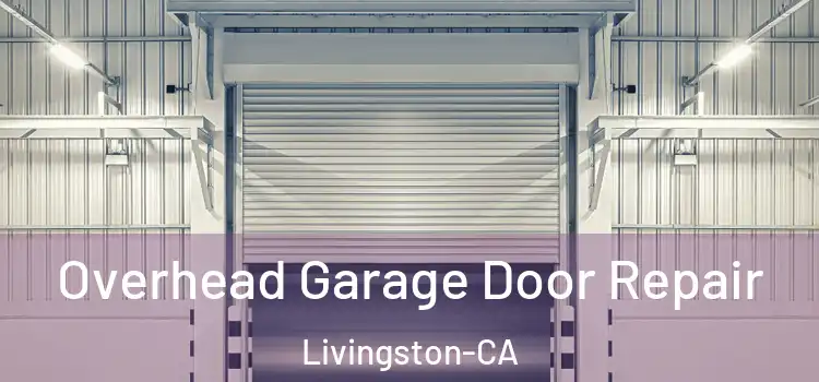  Overhead Garage Door Repair Livingston-CA