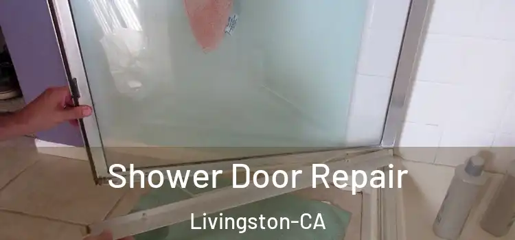  Shower Door Repair Livingston-CA