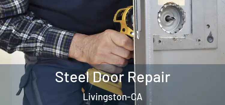  Steel Door Repair Livingston-CA